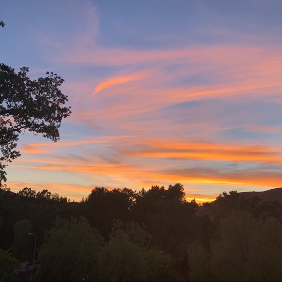 Meet your Posher, Kandace - Picture 1 of 1